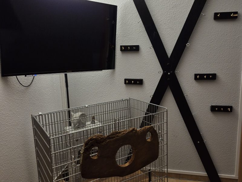 Private Studioauflösung