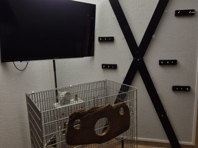 Studioauflösung....Andreaskreuz,Käfig....Fickmaschine uvm.