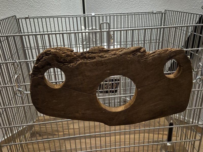 Private Studioauflösung