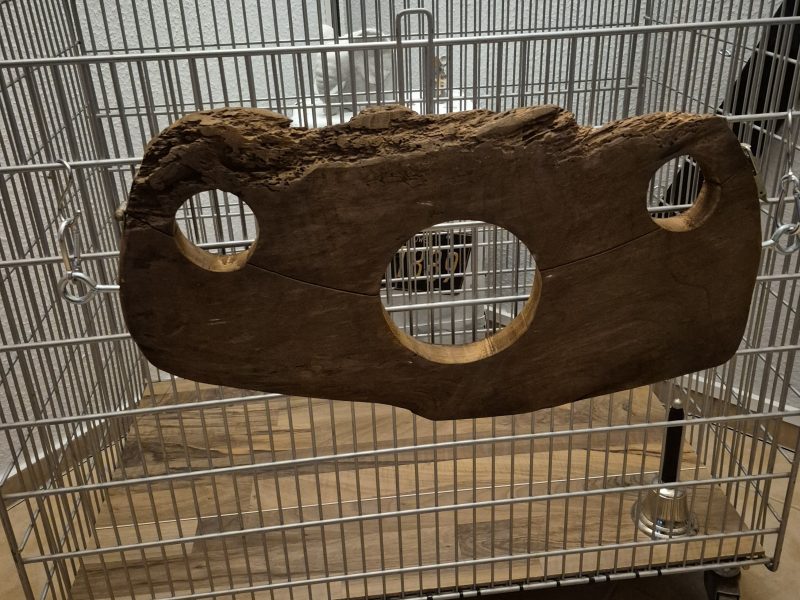 Studioauflösung....Andreaskreuz,Käfig....Fickmaschine uvm.