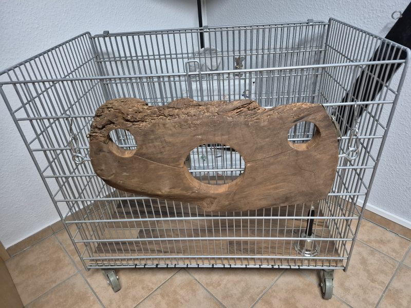 Private Studioauflösung