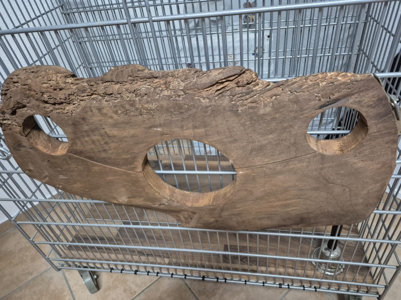 Private Studioauflösung