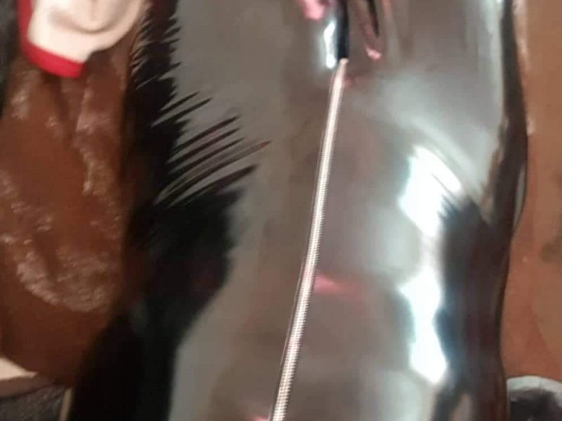 Devoter Single sucht eine dominante Herrschaft